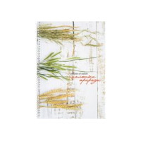 Зошит А5 80 інтегральна обкл. мат.лам."Student"